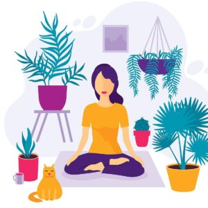 Meditation Guide